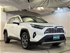 RAV4 HV G