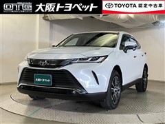 ハリアー G