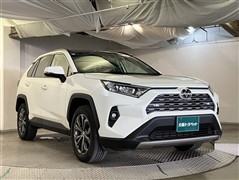 RAV4 G
