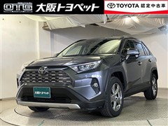 RAV4 G