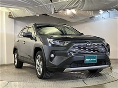 RAV4 G