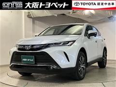 ハリアーHV G