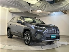 RAV4 HV G