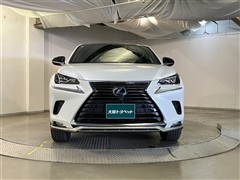 NX300h スパイス&シック