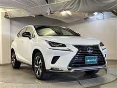 NX300h スパイス&シック