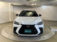 NX350h Fスポーツ
