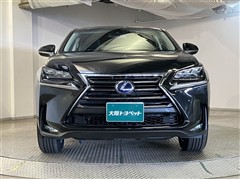NX300h バージョンL