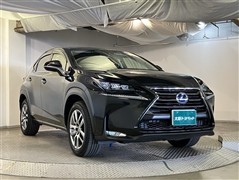 NX300h バージョンL