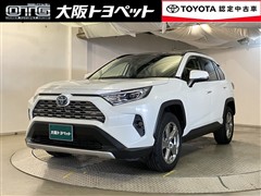 RAV4 HV G