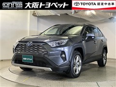 RAV4 HV G