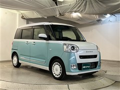 ムーヴキャンバス ストライプス G