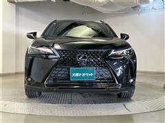 UX250h アーバンエレガンス