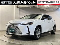 UX250h グレイスフル Exp