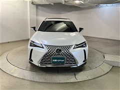 UX250h グレイスフル Exp