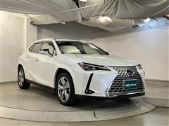 UX250h グレイスフル Exp