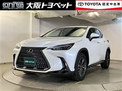 NX250 ヒョウジュンシャ