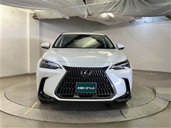 NX250 ヒョウジュンシャ