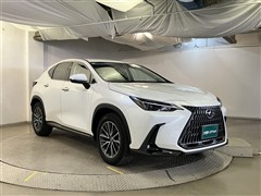 NX250 ヒョウジュンシャ