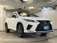 RX300 Fスポーツ