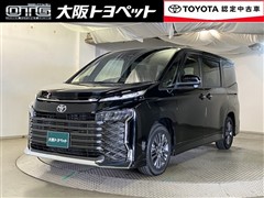 ヴォクシー S-G