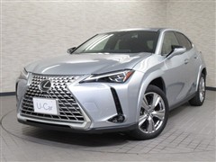 UX250h グレイスフル エクスプ