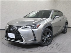 UX250h ヒョウジュンシャ