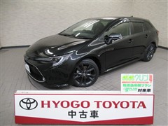 カローラツーリング ダブルバイ