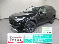RAV4 アドベンチャー
