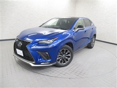 NX300 クール&ブライト