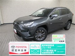 RAV4 G