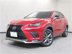 NX300h Fスポーツ