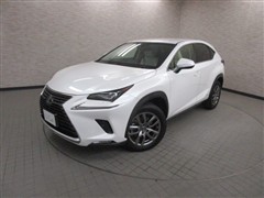 NX300h バージョンL