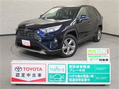 RAV4 G