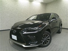 NX300h クール&ブライト