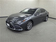 ES300h ヒョウジュンシャ