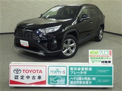 RAV4 G