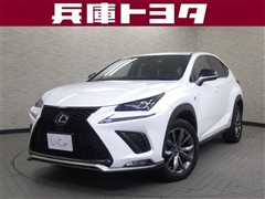 NX300h Fスポーツ