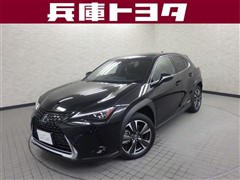 UX250h Ver.L