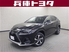NX300h スパイスアンドシック