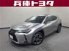 UX250h Ver.L