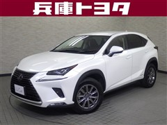 NX300h Iパッケージ