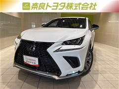 NX300h Fスポーツ
