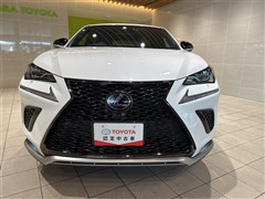 NX300h Fスポーツ