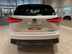 NX300h Fスポーツ