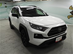 RAV4 アドベンチャー オフロート