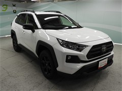 RAV4 アドベンチャー オフロート