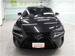 NX300 ブロンズエディション