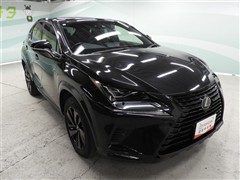 NX300 ブロンズエディション