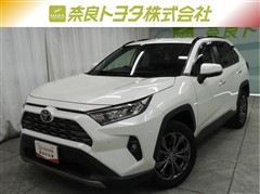 RAV4 G