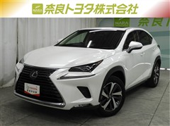 NX300h バージョンL